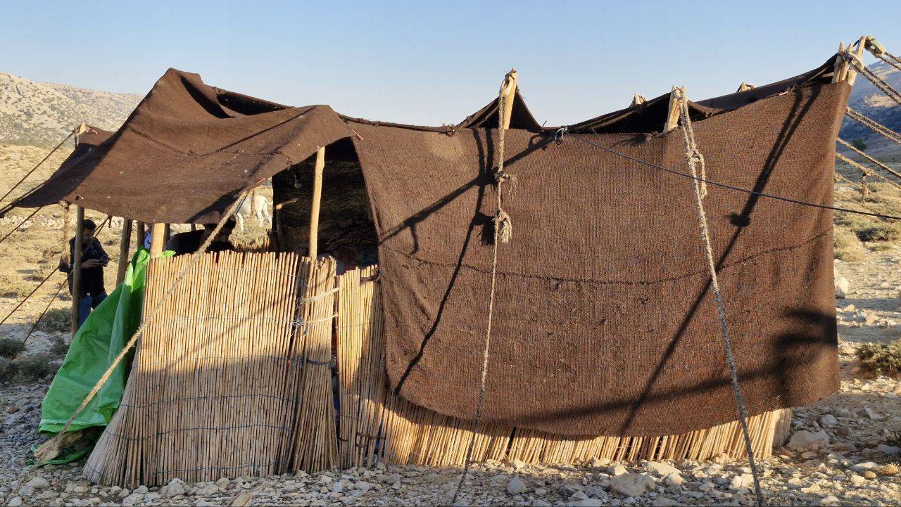 سیاه‌ چادرهای عشایر سرگچینه میزبان رویداد فرهنگی هنری