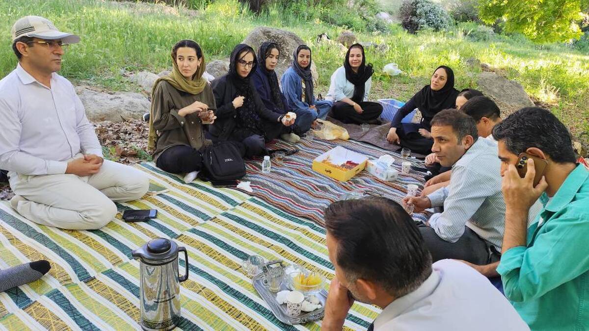 برگزاری جلسه ادبی نویسندگان و شاعران حوزه هنری در طبیعت کریک